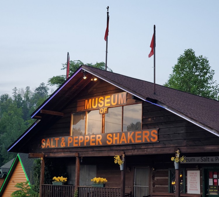 Salt & Pepper Shaker Museum (Gatlinburg,&nbspTN)